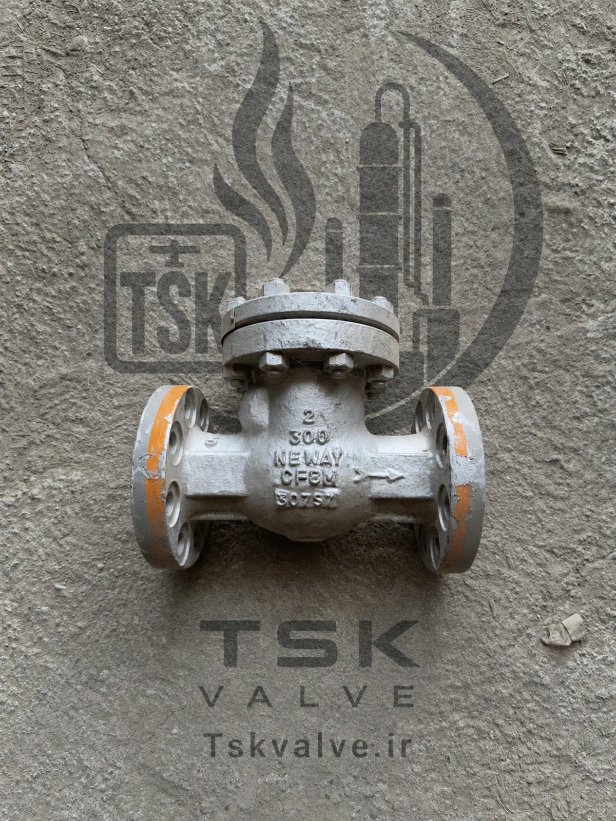 Neway 2 inch Class 300 CF8M flanged check valve