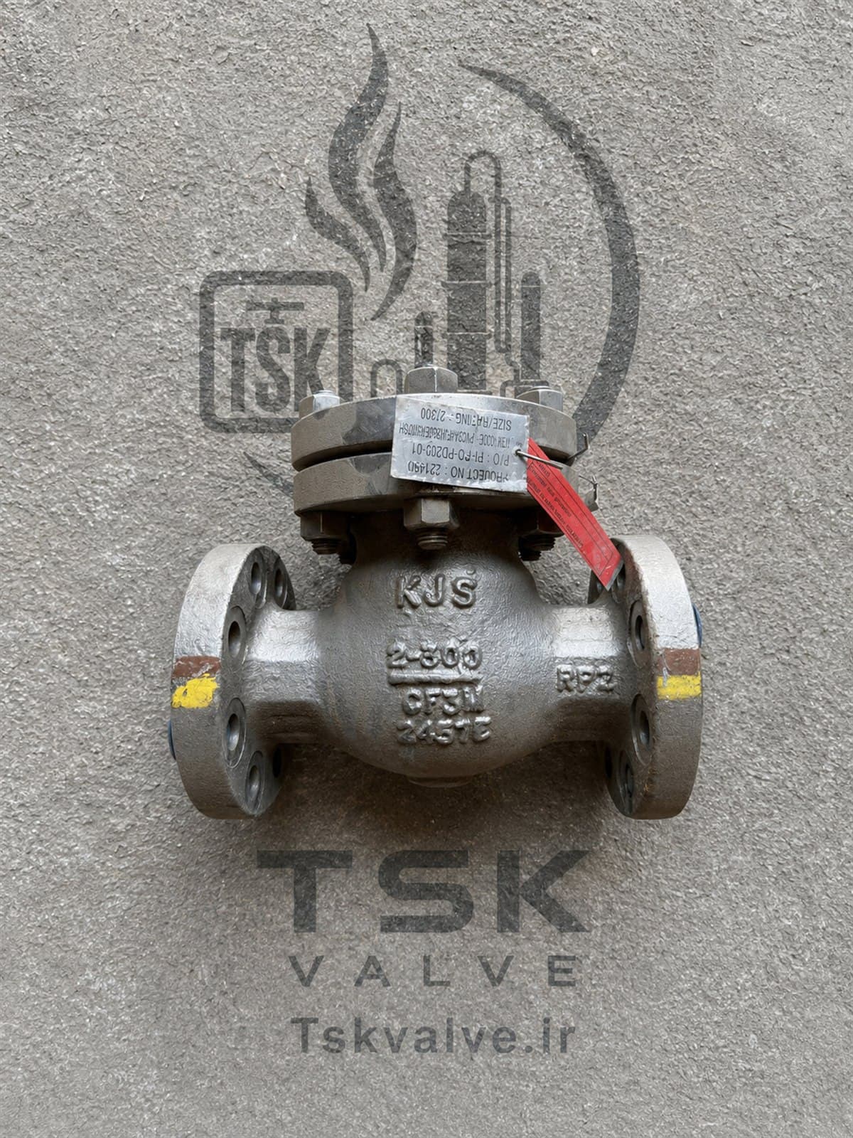 KJS 2 inch Class 300 CF3M flanged check valve