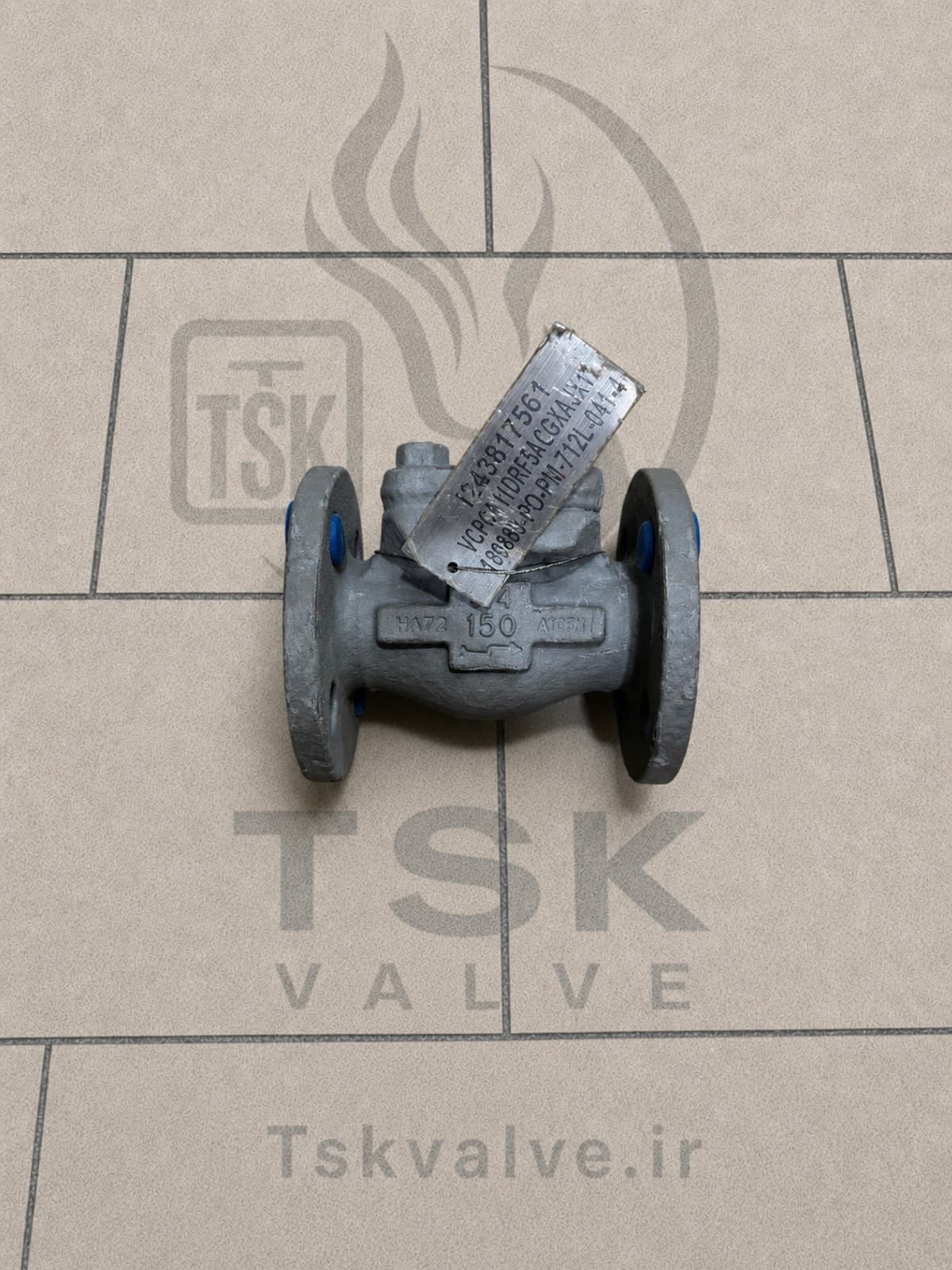 Ilshin 3/4" Class 150 A105N flanged check valve