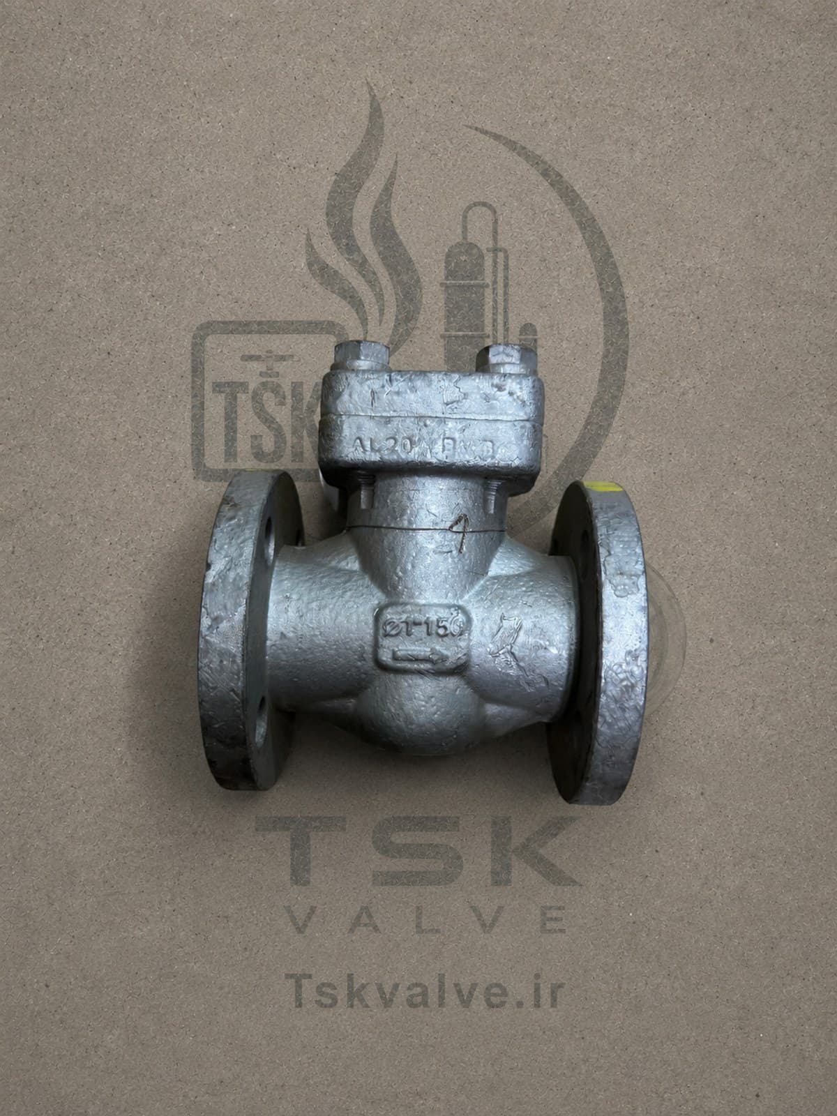 Douglas Cherro 1 inch Class 150 Alloy 20 flanged check valve