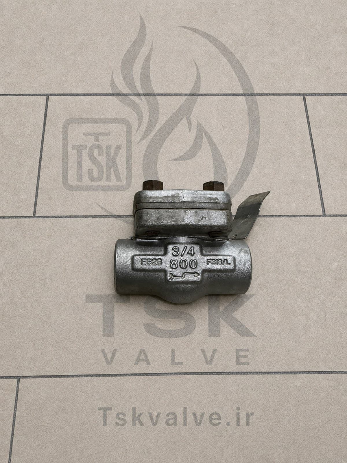ILSHIN 3/4" Class 800 F316/F316L npt check valve