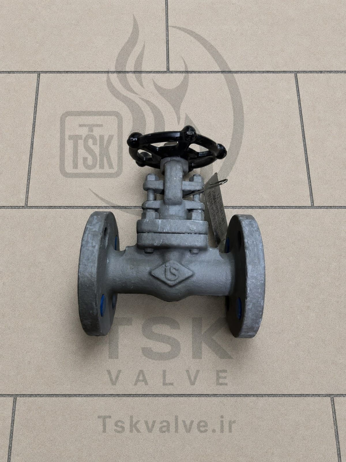 Ilshin 3/4" Class 300 A105N flanged gate valve