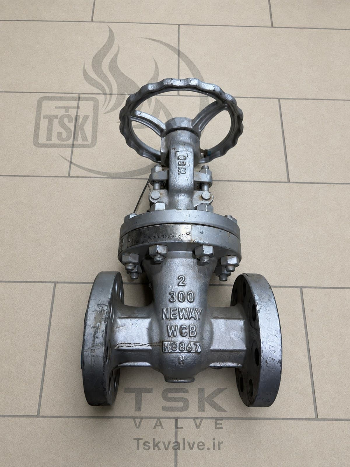 Neway 2 inch Class 300 WCB flanged gate valve