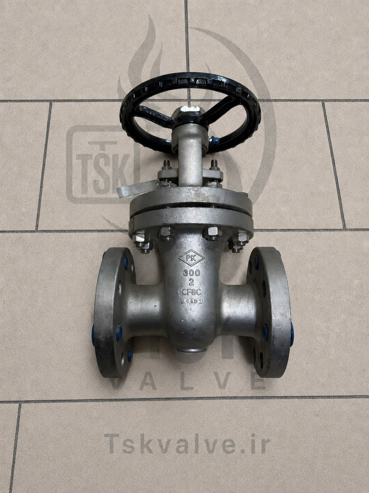 PK Valve 2 inch Class 300 CF8C flanged gate valve