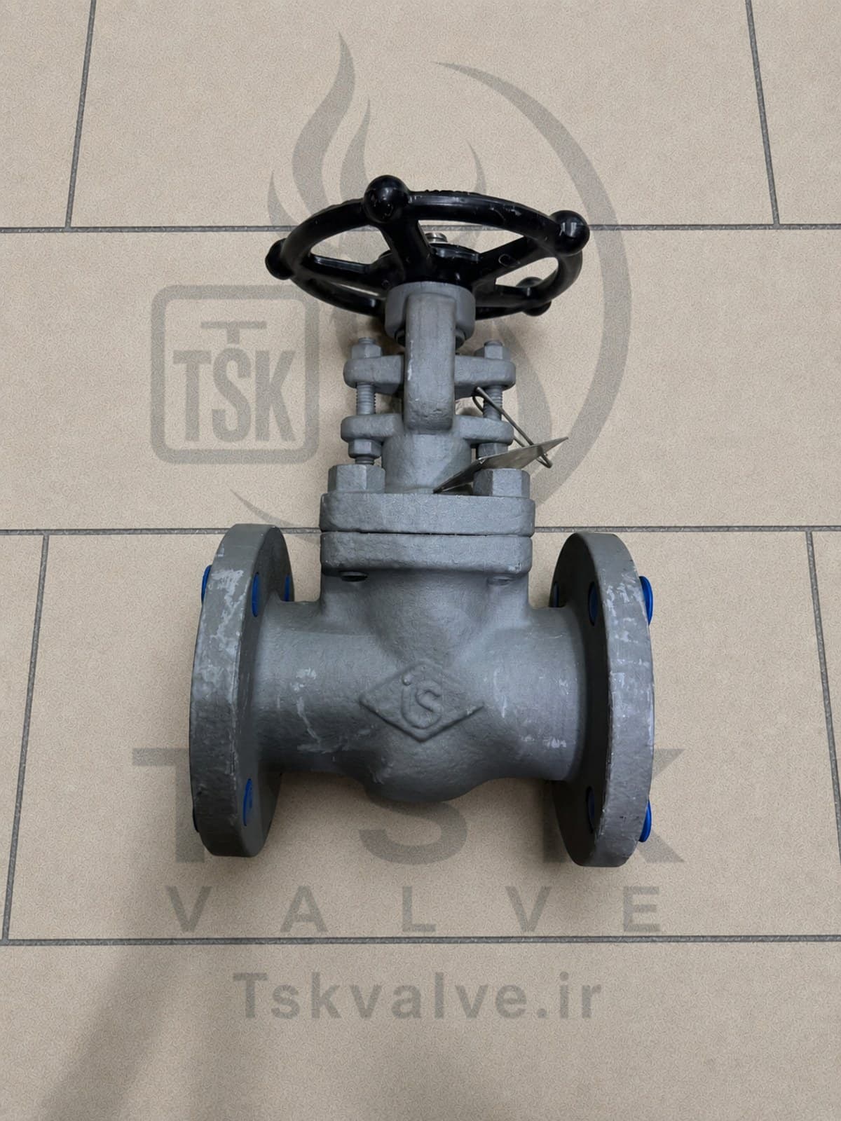 Ilshin 2 inch Class 150 A105N flanged gate valve
