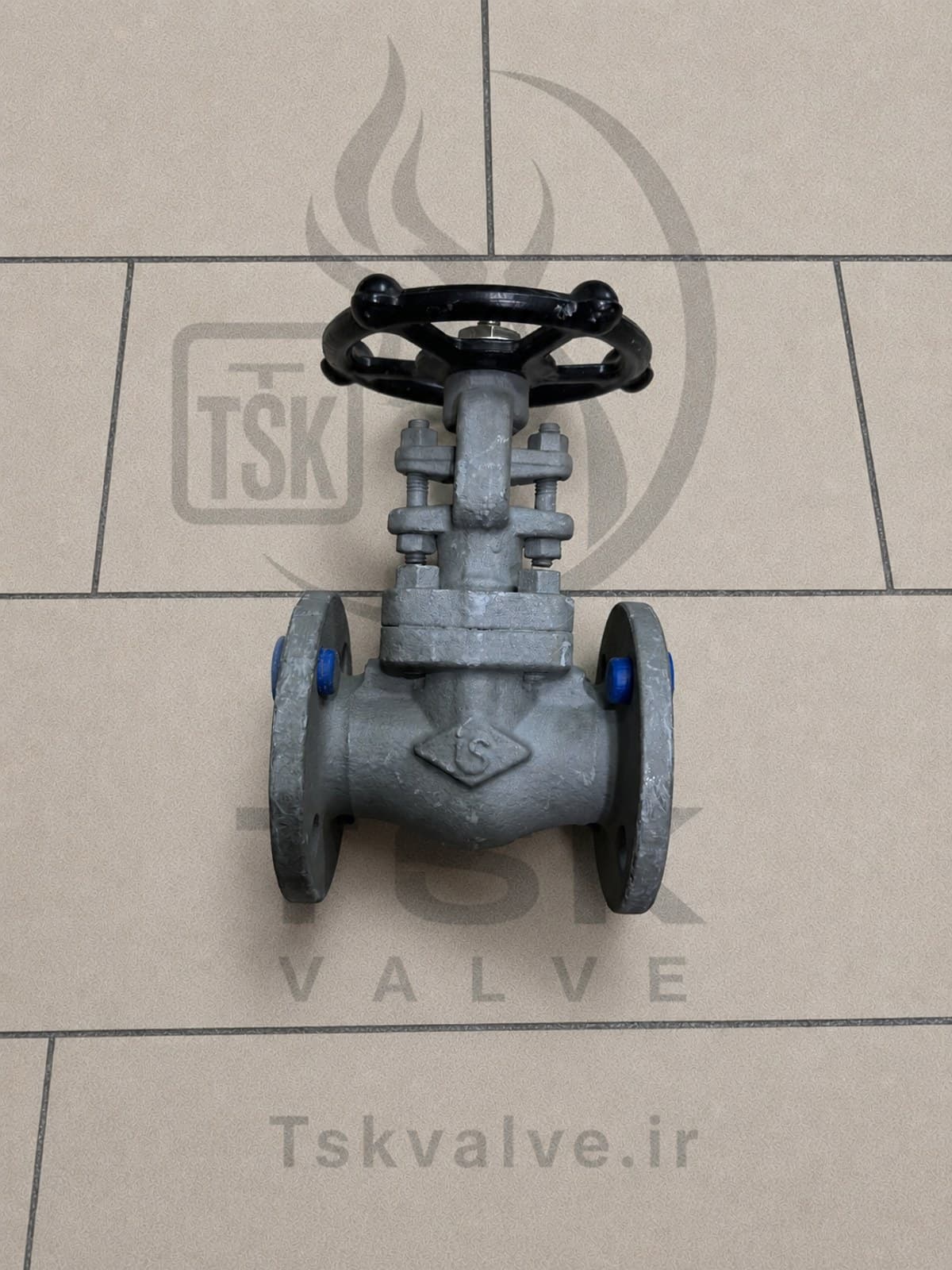 Ilshin 1 inch Class 150 A105N flanged gate valve
