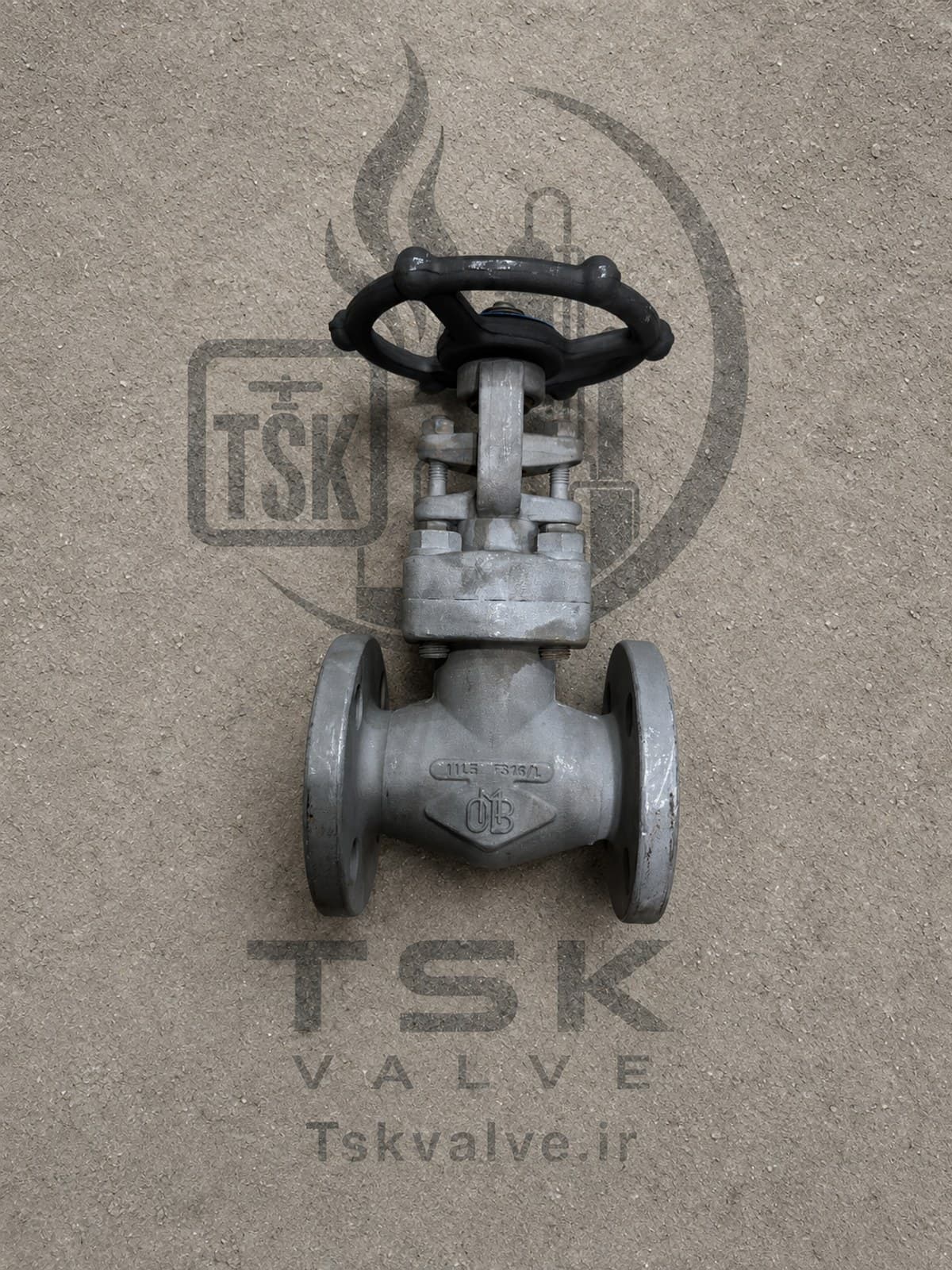 OMB 1 inch Class 150 F316/316L flanged gate valve