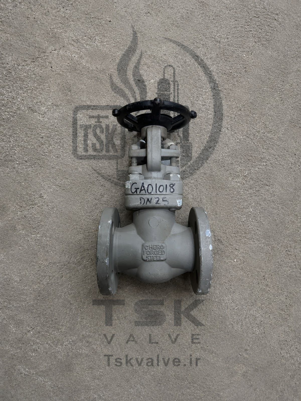 Douglas Chero 1 inch Class 150 F316L flanged gate valve