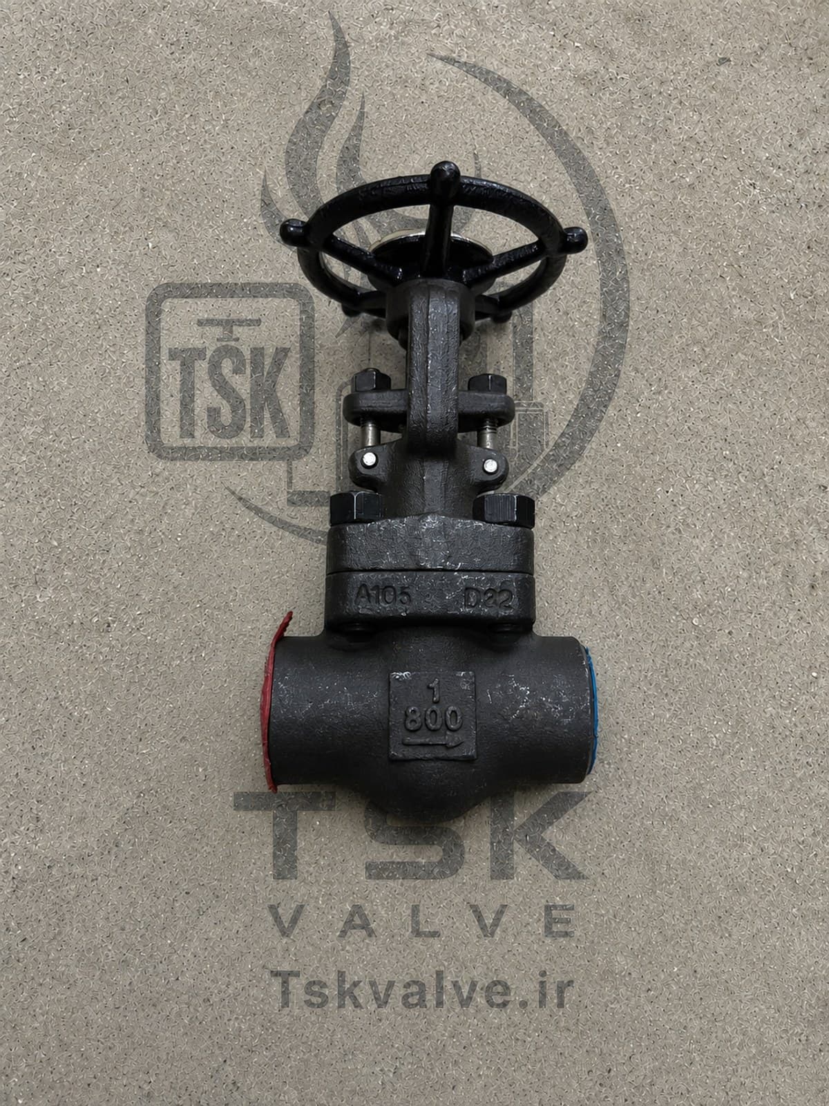 Dong Kang 1 inch Class 800 A105 npt gate valve