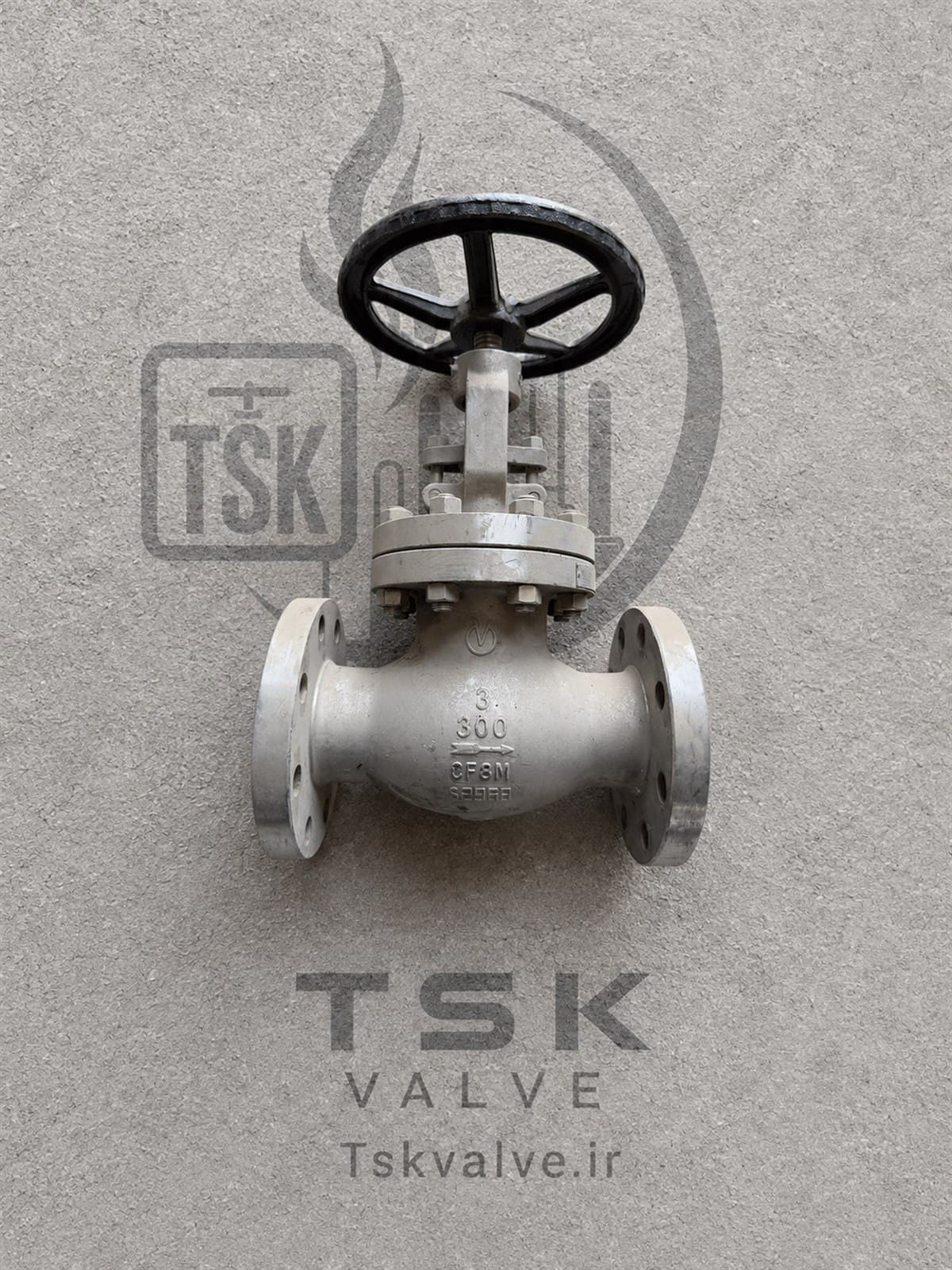 V 3 inch Class 300 CF8M flanged globe valve