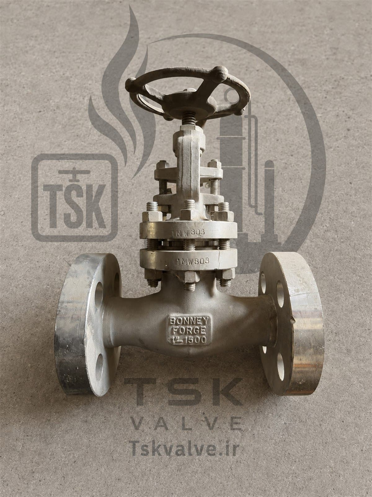 Bonney Forge 1 inch Class 1500 F316L flanged globe valve
